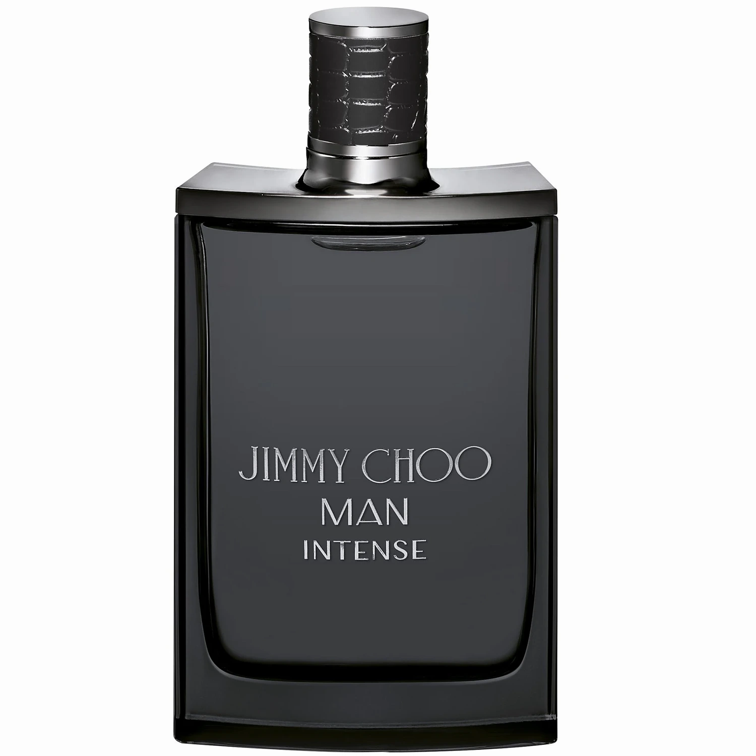 Jimmy Choo Man Intense 6.8 oz EDT for men