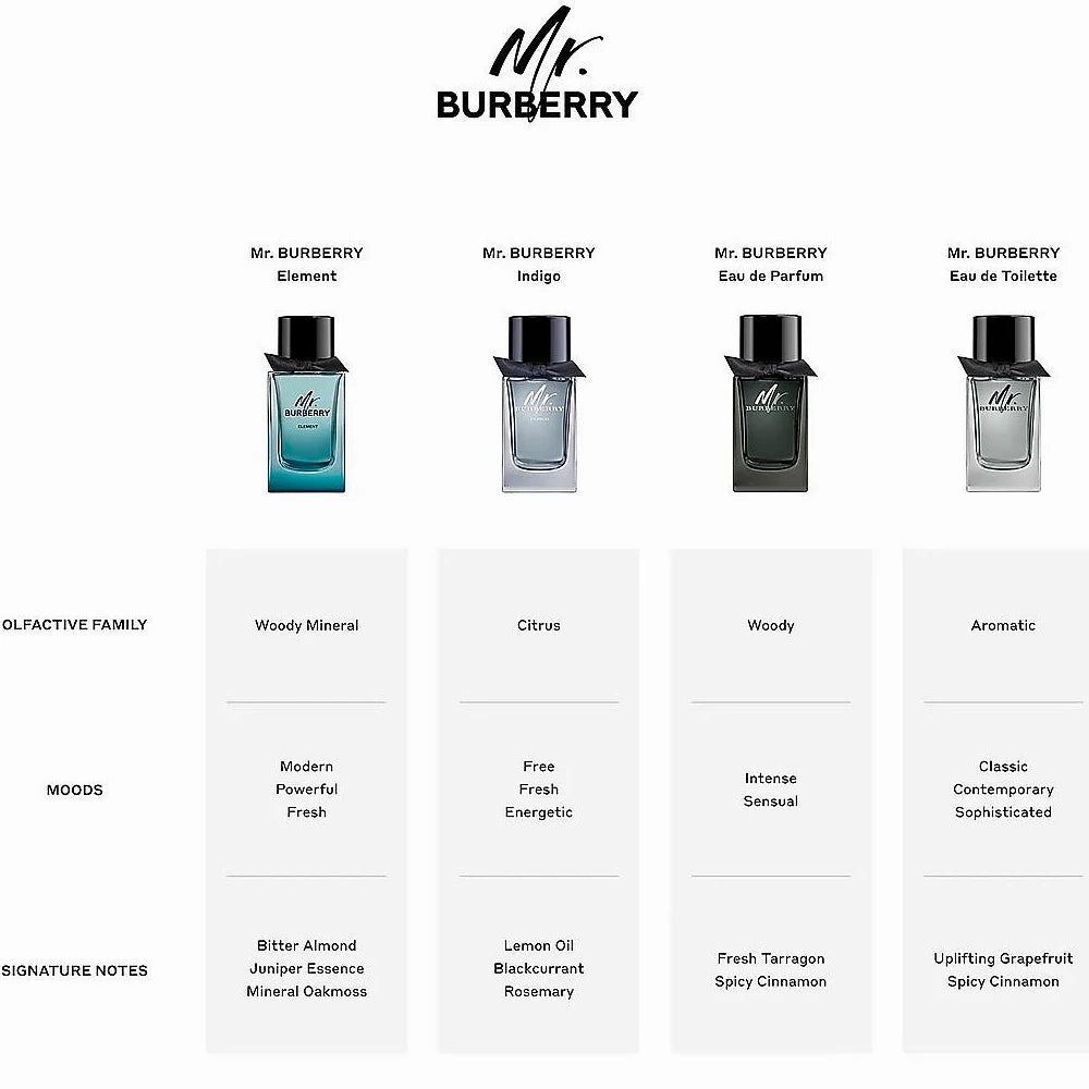 Mr. Burberry Element 5.0 oz EDT for men